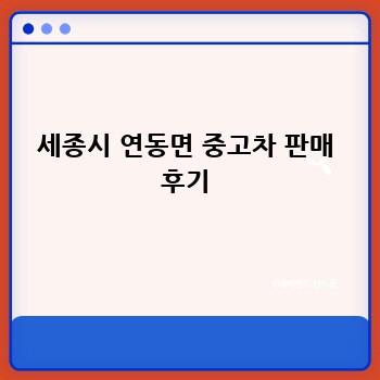 세종시 연동면 중고차 판매 후기