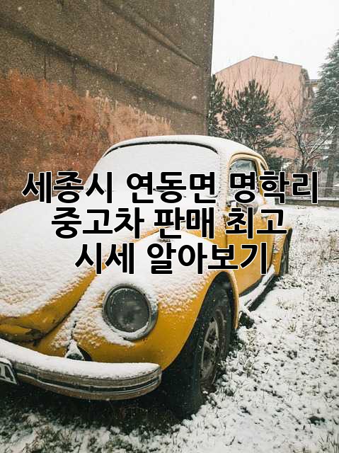 세종시 연동면 명학리 중고차 판매, 최고 시세 알아보기!