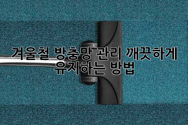 겨울철 방충망 관리, 깨끗하게 유지하는 방법