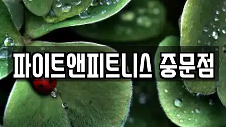 파이트앤피트니스 중문점