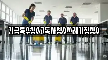 긴급특수청소고독사청소쓰레기집청소