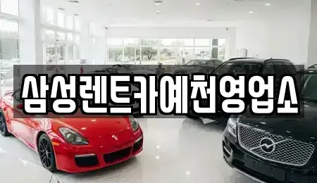 경북 예천군 호명읍 렌트카 전문 삼성렌트카예천영업소