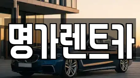 경북 포항시 북구 덕수동 렌트카 전문 명가렌트카