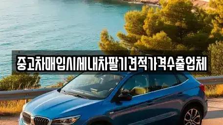 경상북도 문경시 중고차매입 전문 중고차매입시세내차팔기견적가격수출업체