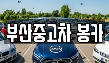 부산광역시 남구 감만동 중고차매매 전문 부산중고차 봉카