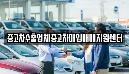 전남 목포시 양동 중고차매입 전문 중고차수출업체중고차매입매매지원센터