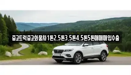 충청북도 단양군 단성면 중고차 전문 중고트럭중고화물차1톤2.5톤3.5톤4.5톤5톤매매매입수출